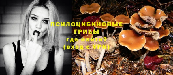 СК Абинск