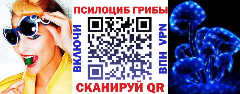 Галлюциногенные грибы Cubensis  omg ссылка  Приволжск  продажа наркотиков 